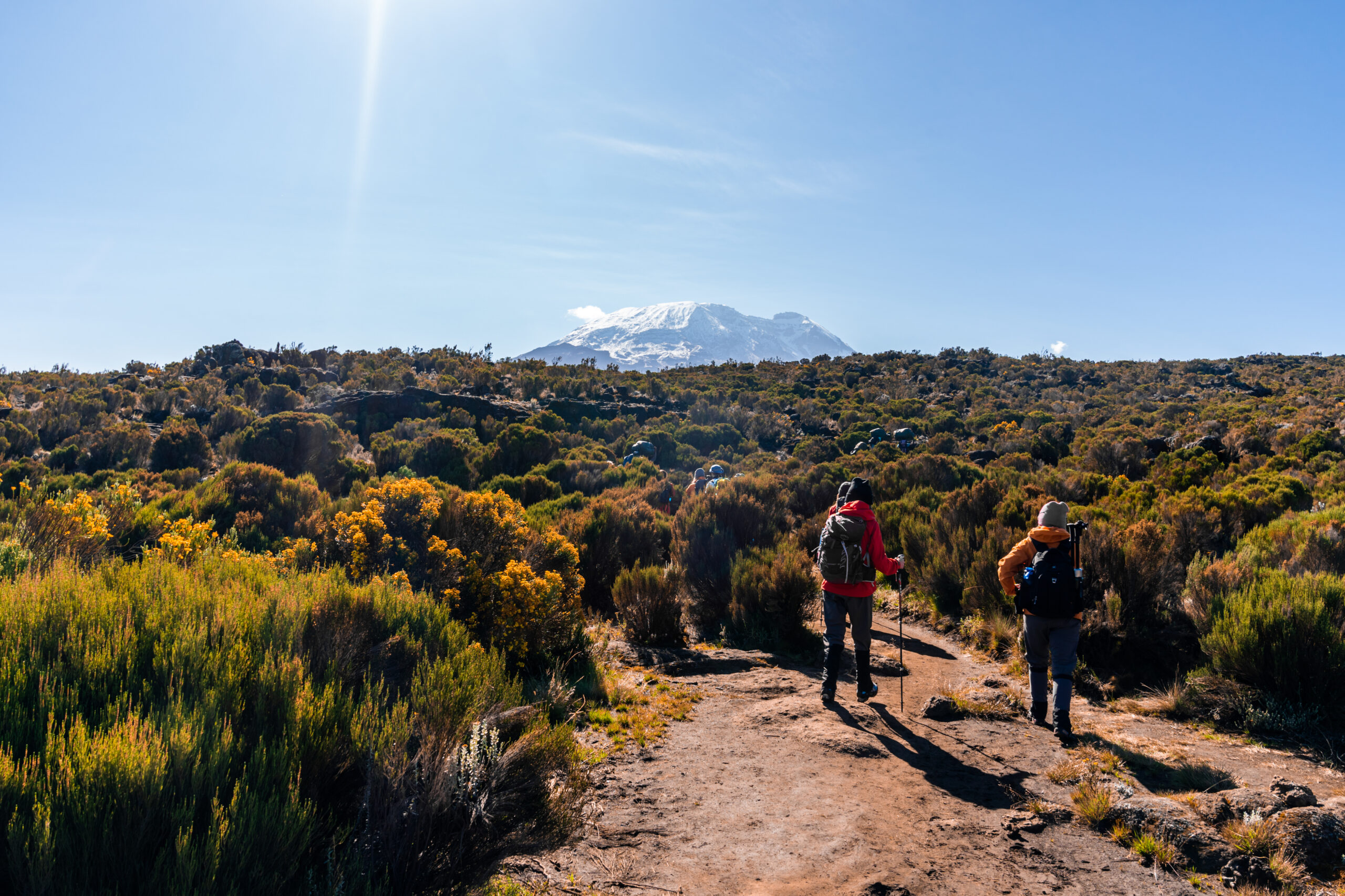 A group of trekkers hiking in Kilimanjaro