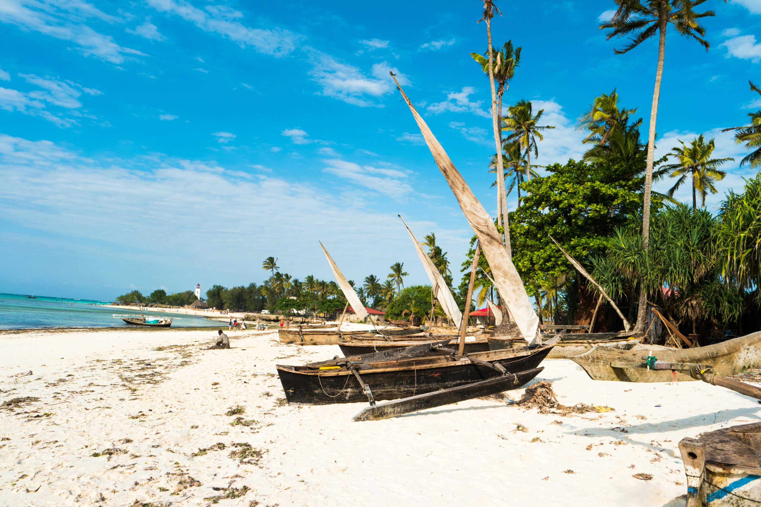 Row of sailing boats with masts sitting at ocean shore, bright blue sky and palms