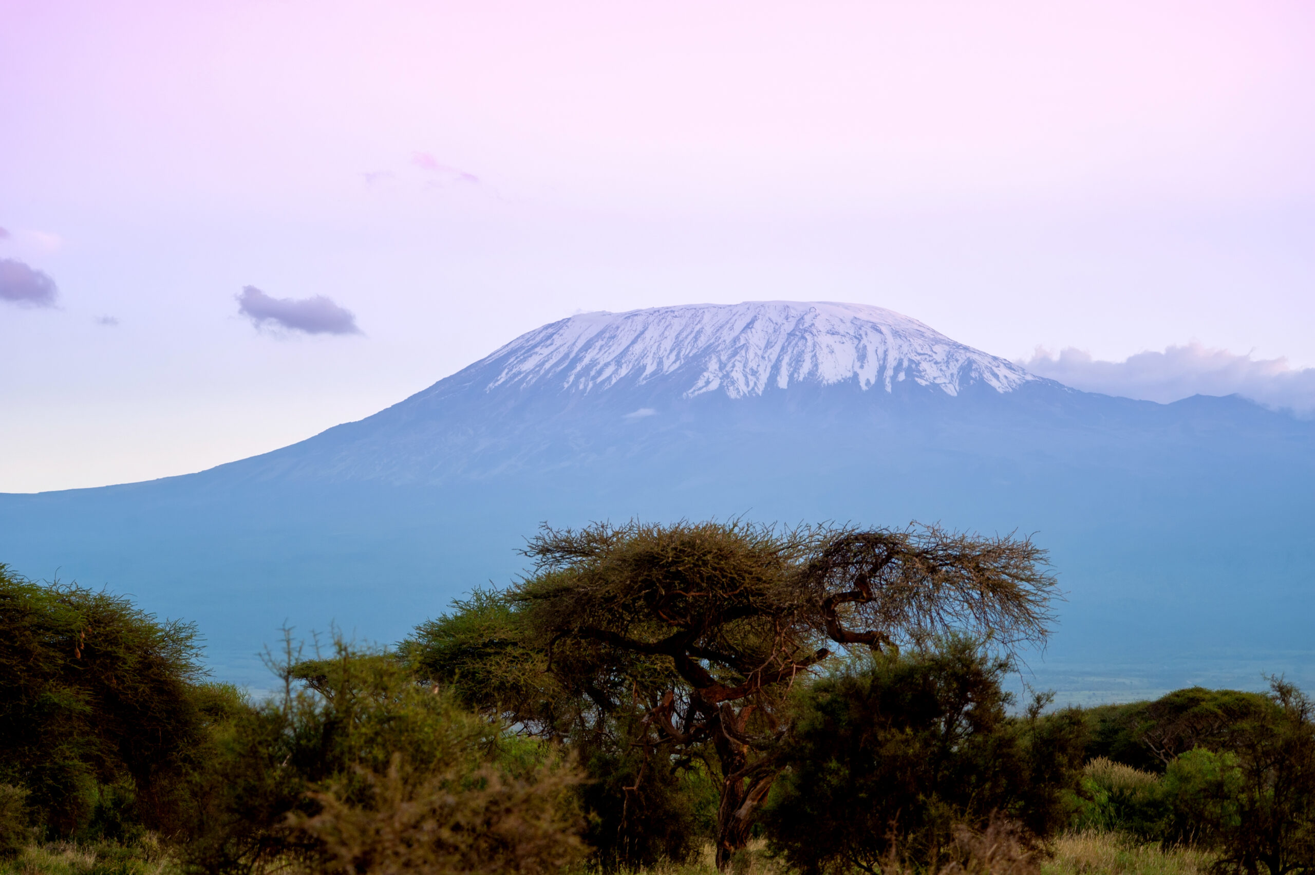 Snow on top of Mountain Kilimanjaro in Amboseli