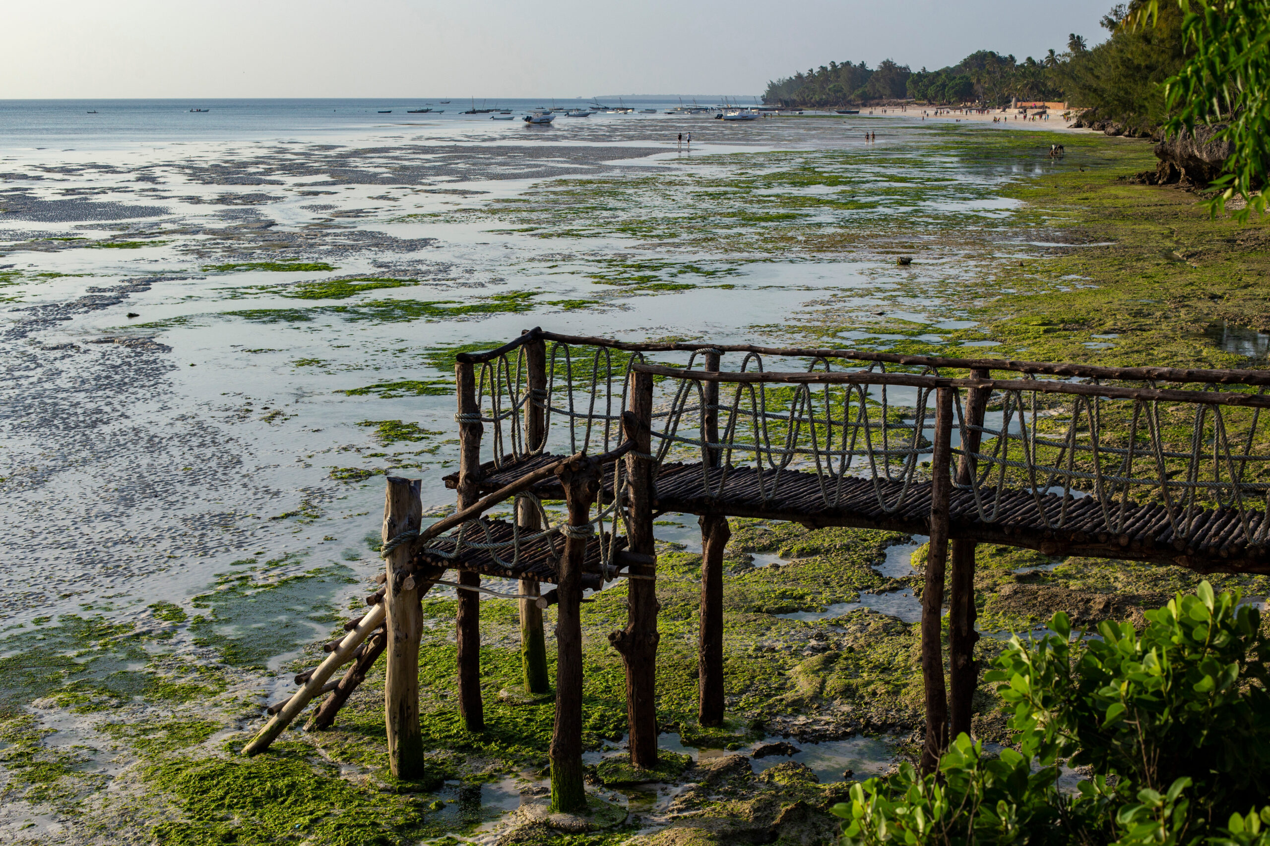 wooden-pier-at-sunset-kizimkazi-zanzibar-2025-10-13-02-53-01-utc